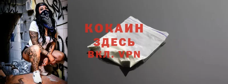 купить  сайты  Гусиноозёрск  Cocaine VHQ 